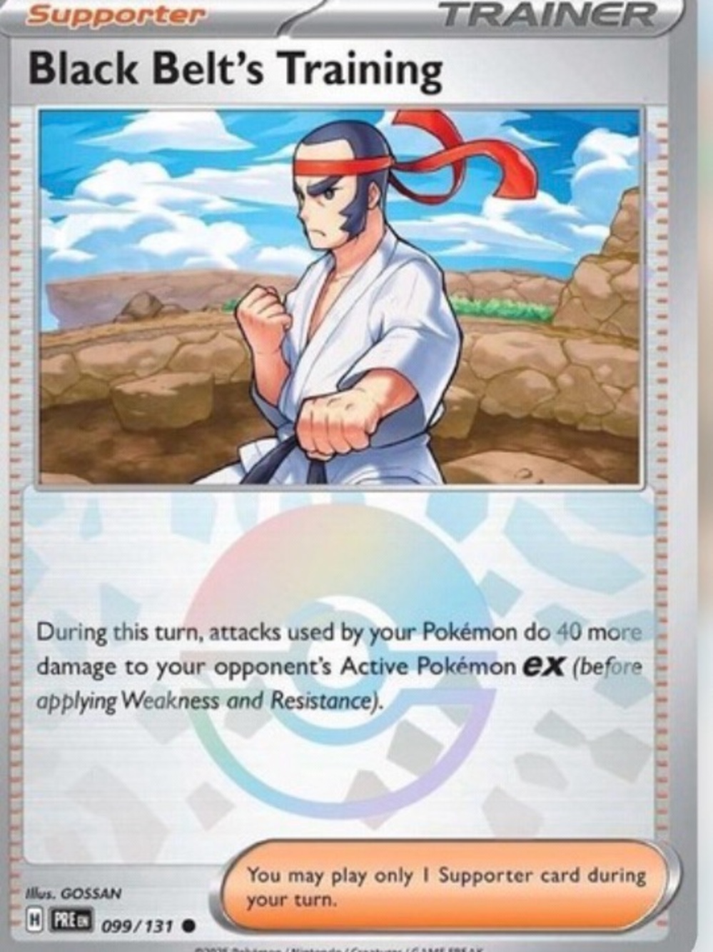 Pokemon -Ball Holo Trainer
